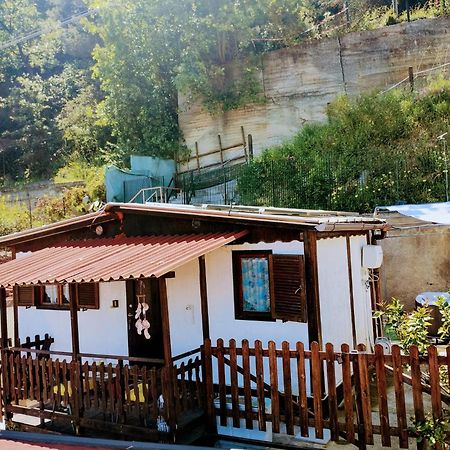 Bungalow Sixdays 2 Camporosso  Dış mekan fotoğraf