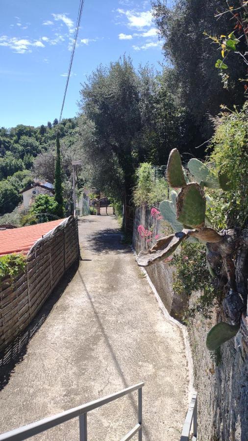 Bungalow Sixdays 2 Camporosso  Dış mekan fotoğraf