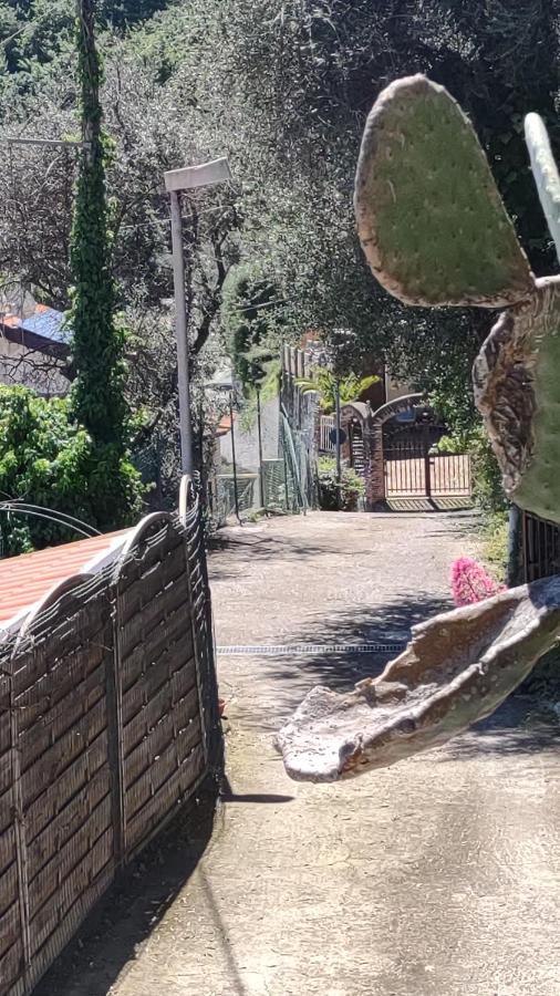 Bungalow Sixdays 2 Camporosso  Dış mekan fotoğraf